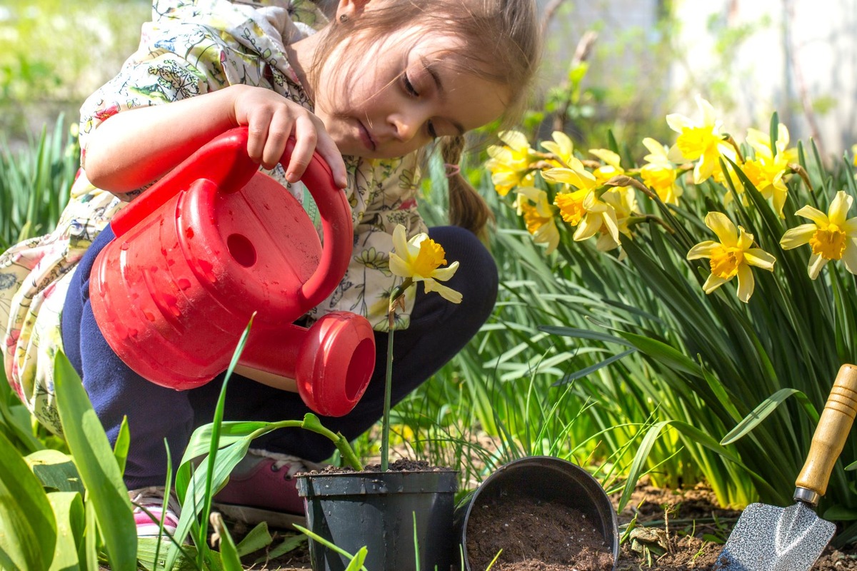Ab in den Garten So bleiben die Hände gesund Presseportal
